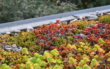 the cost of Trewey green roof installation