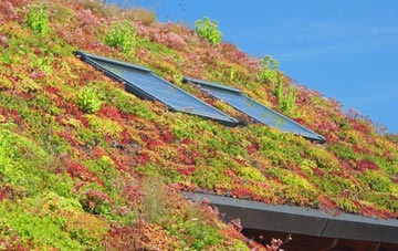 Trewey living roof systems