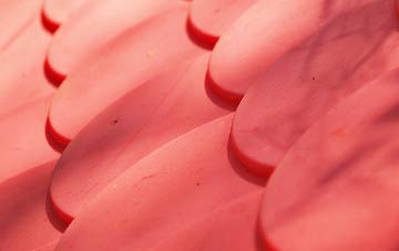 Trewey plastic roof costs