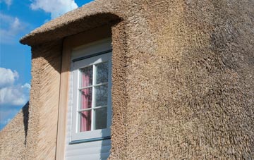 Trewey thatch roof disadvantages